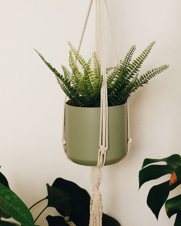 Macrame plant hanger