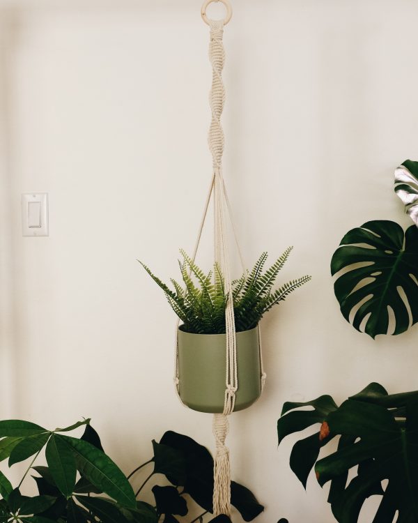 Macrame plant hanger