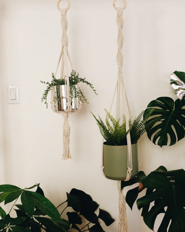 Macrame plant hanger