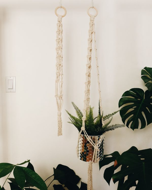 Macrame plant hanger