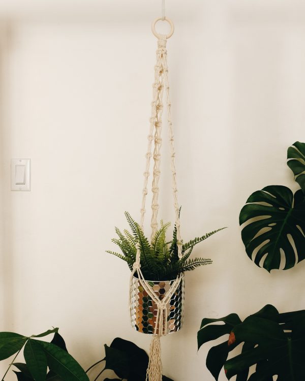 Macrame plant hanger