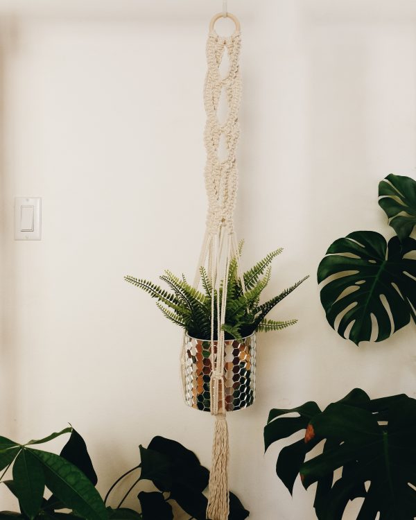 Macrame plant hanger