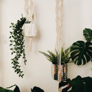 Macrame plant hanger