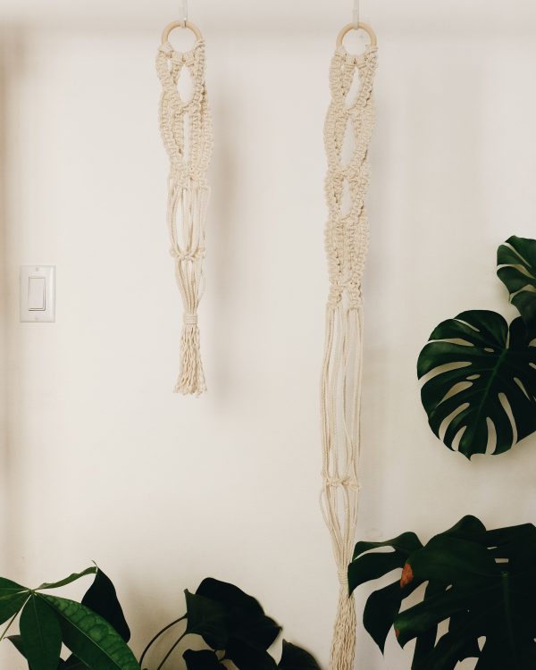 Macrame plant hanger