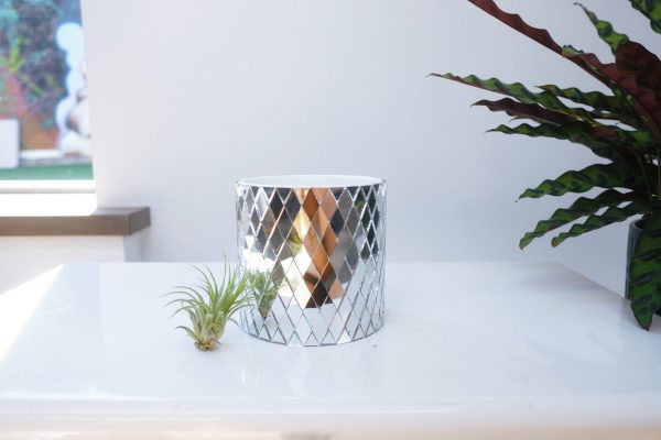 Disco mirrored planter