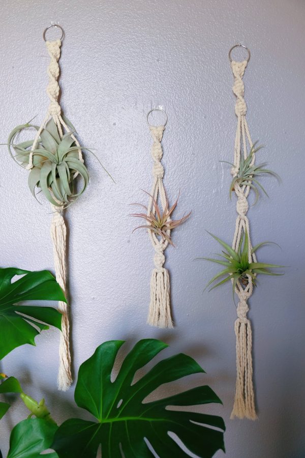 Macrame air plant hanger