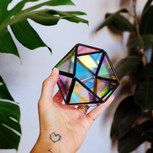 Holographic succulent terrarium candle holder