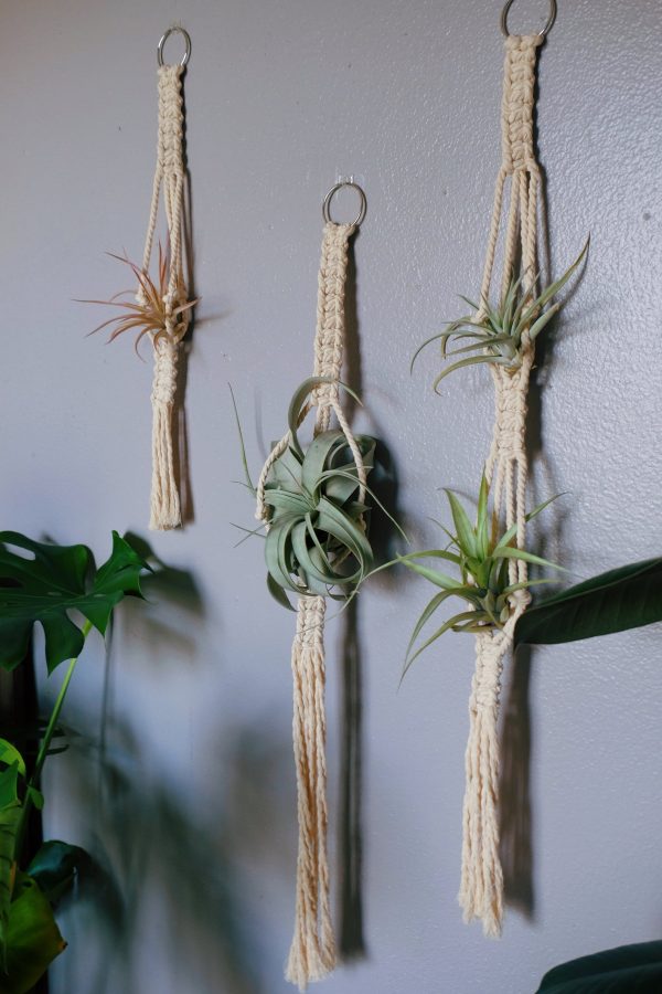 Macrame air plant hanger