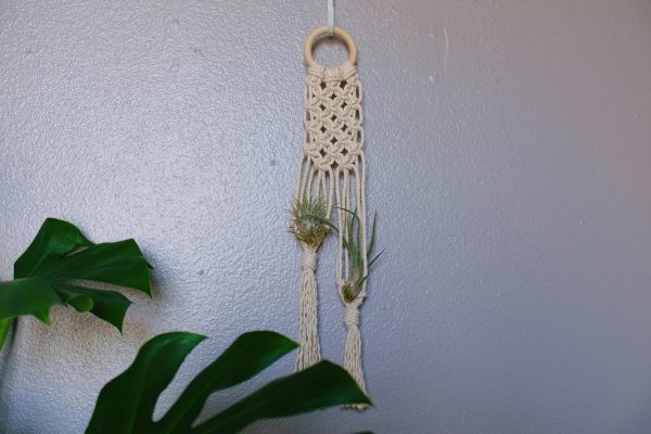 Macrame air plant hanger