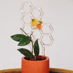 Dried flower resin honeycomb plant trellis