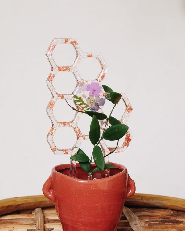 Dried flower resin honeycomb plant trellis