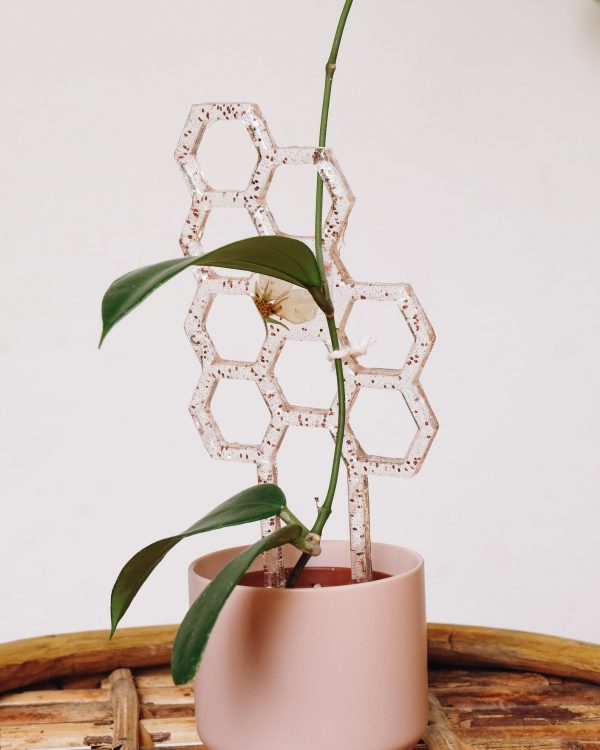 Dried flower resin honeycomb plant trellis