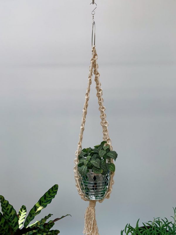 Macrame plant hanger