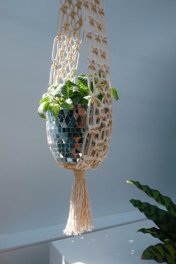 Macrame plant hanger