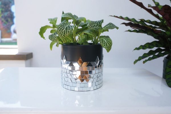 Disco mirrored planter