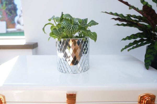 Disco mirrored planter