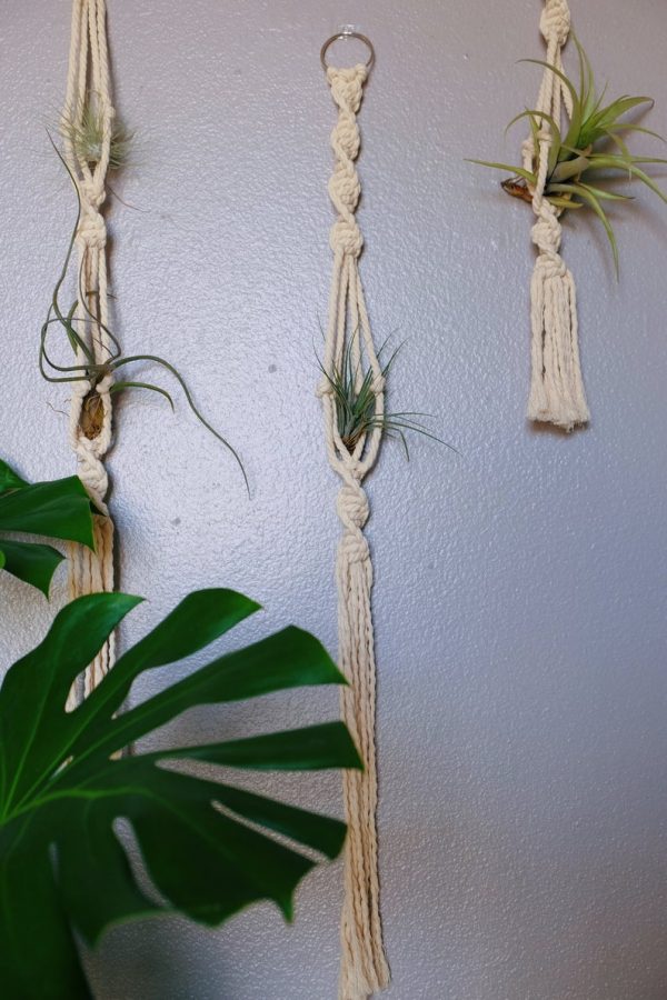 Macrame air plant hanger