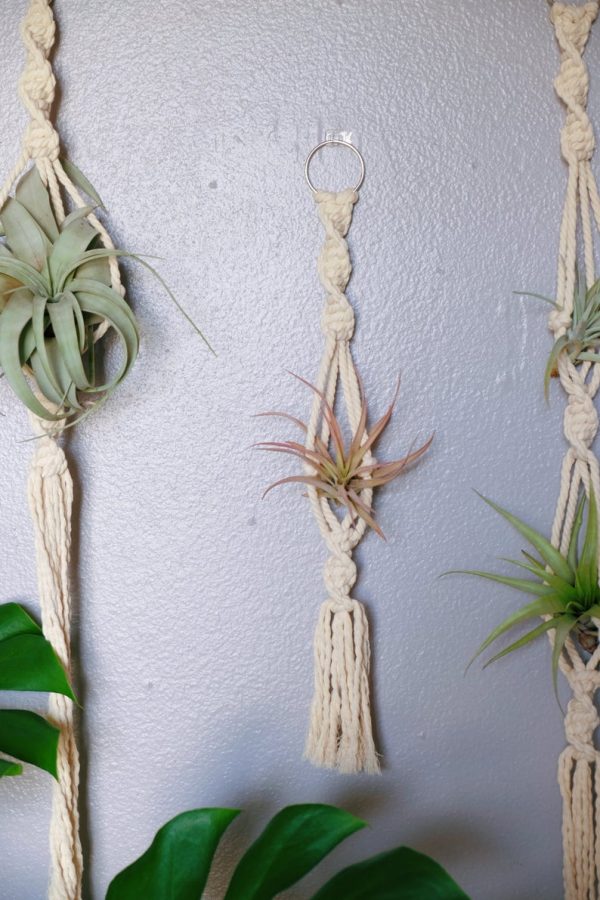 Macrame air plant hanger