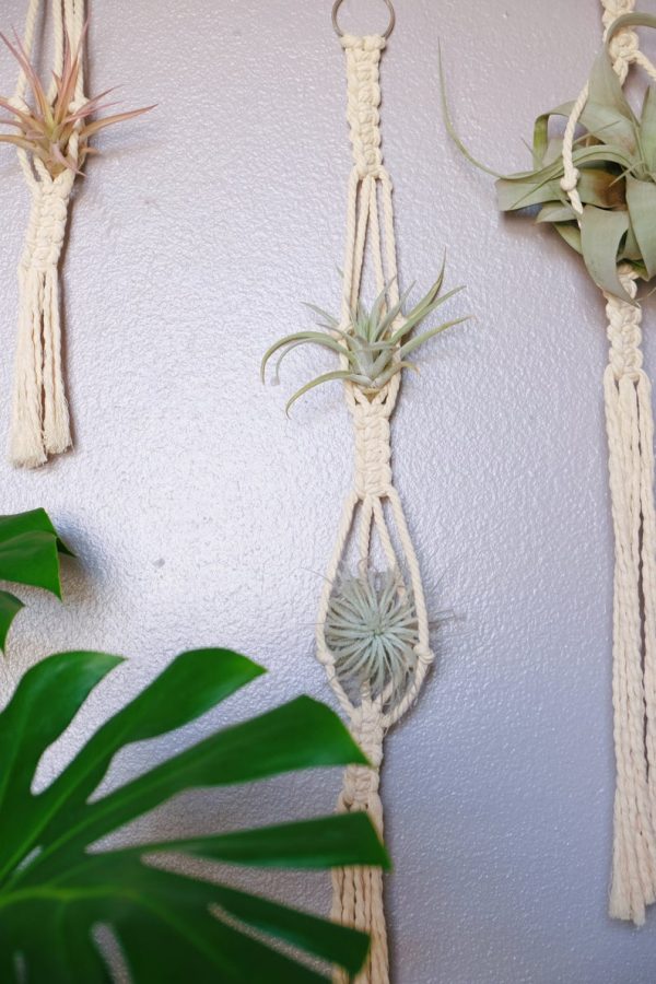 Macrame air plant hanger