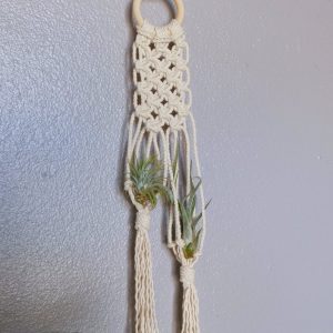 Macrame air plant hanger