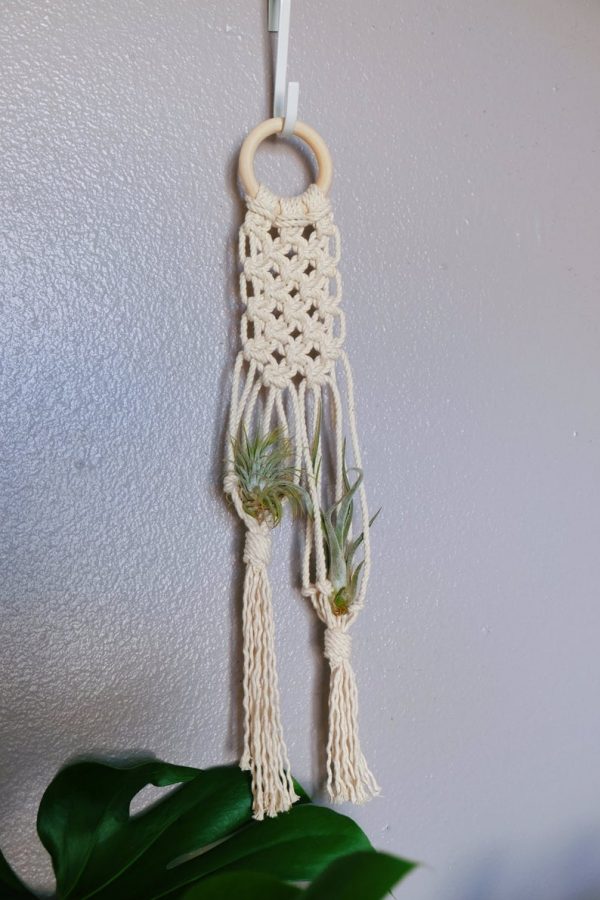 Macrame air plant hanger