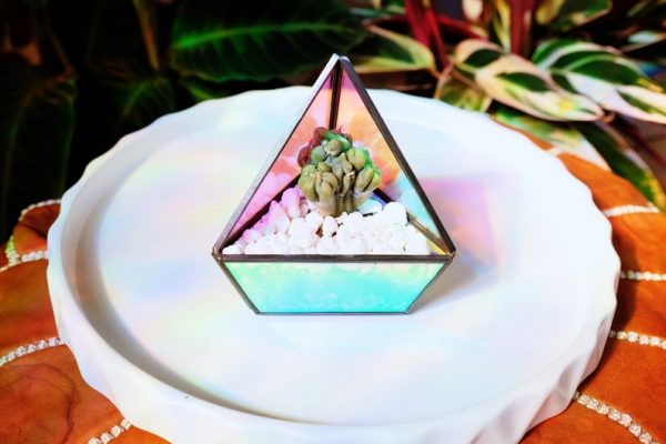 Holographic succulent terrarium candle holder