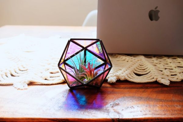 Holographic succulent terrarium candle holder