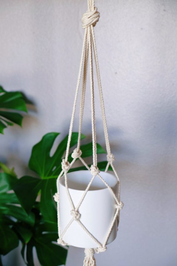 Macrame plant hanger