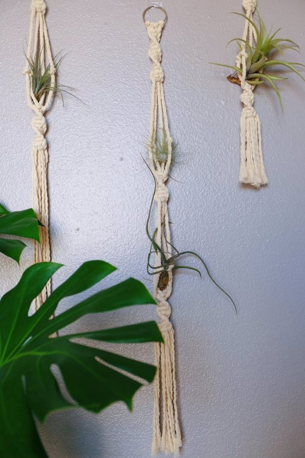 Macrame air plant hanger