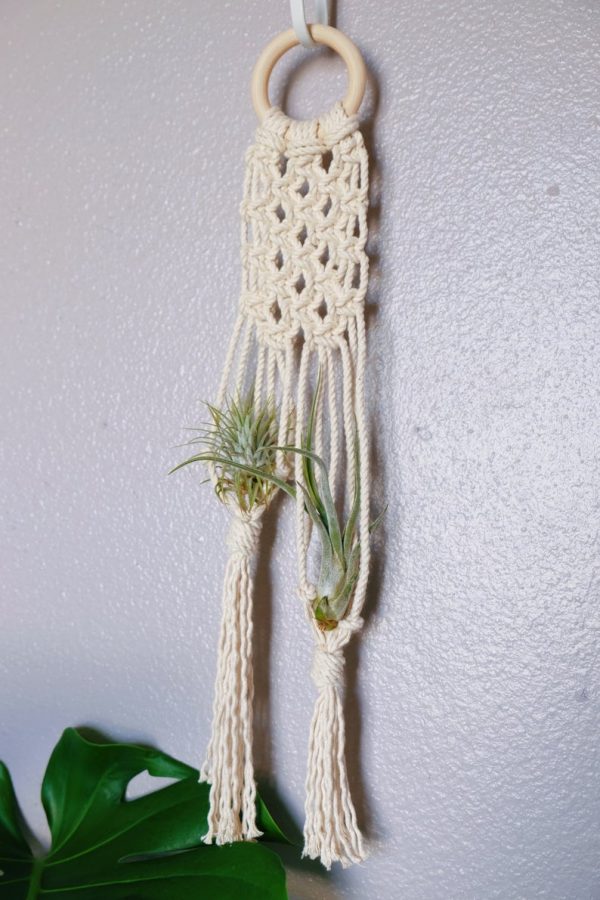 Macrame air plant hanger