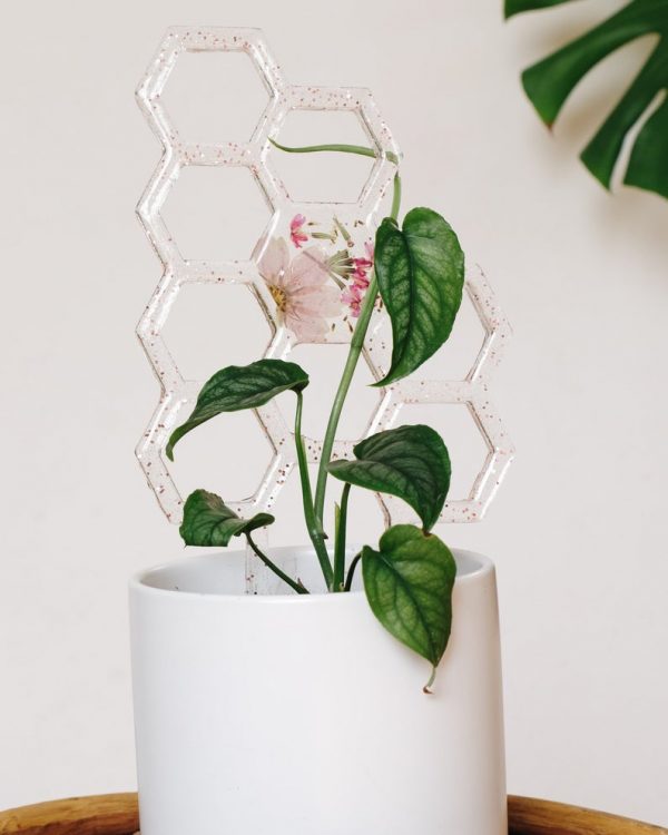 Dried flower resin honeycomb plant trellis