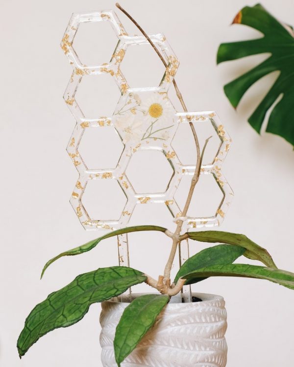 Dried flower resin honeycomb plant trellis