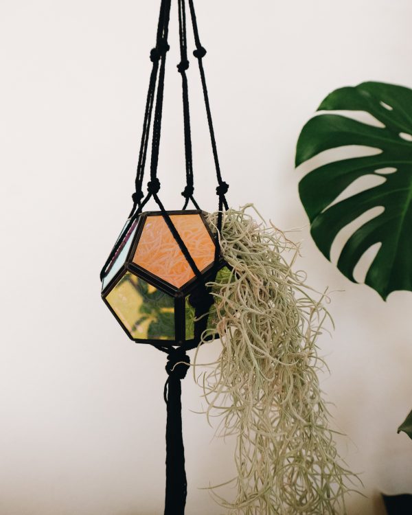 Macrame plant hanger