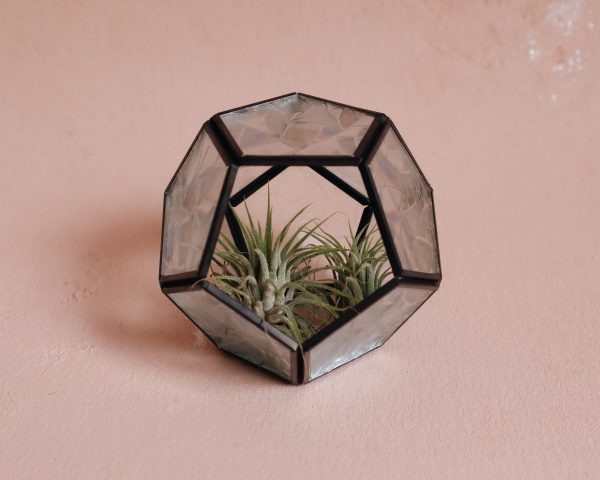 Rainbow succulent terrarium candle holder