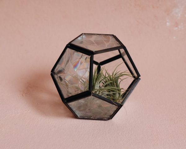 Rainbow succulent terrarium candle holder