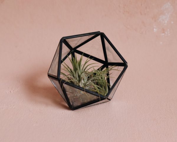 Rainbow succulent terrarium candle holder