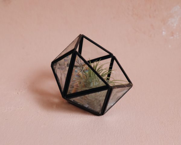 Rainbow succulent terrarium candle holder