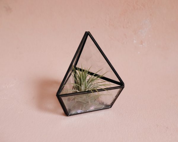 Rainbow succulent terrarium candle holder