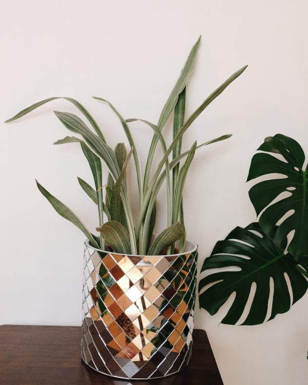 Disco mirrored planter