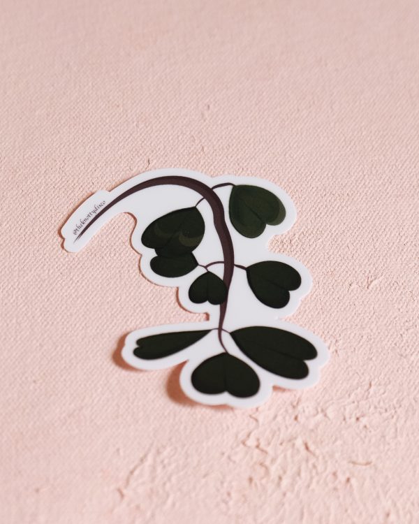 Hoya plant vinyl sticker