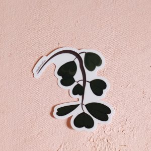 Hoya plant vinyl sticker