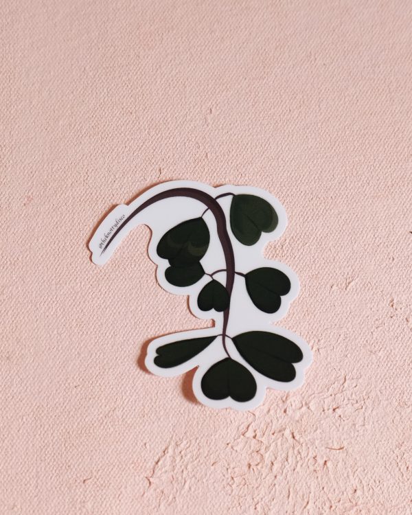 Hoya plant vinyl sticker