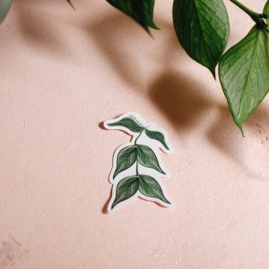 Hoya plant vinyl sticker