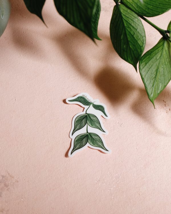 Hoya plant vinyl sticker