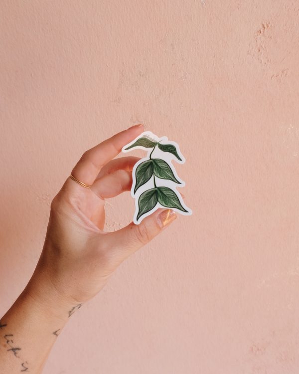 Hoya plant vinyl sticker