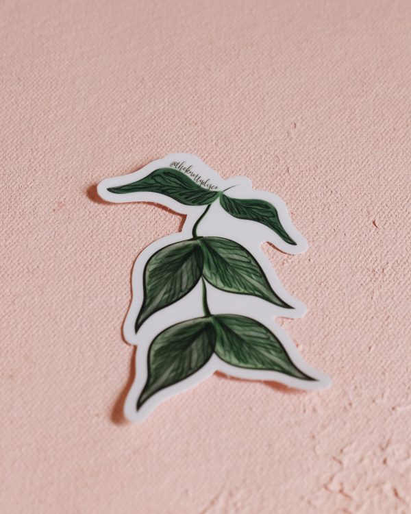 Hoya plant vinyl sticker