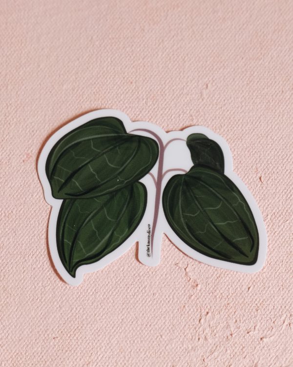 Hoya plant vinyl sticker